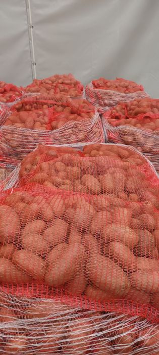 Cartofi consum Roșu