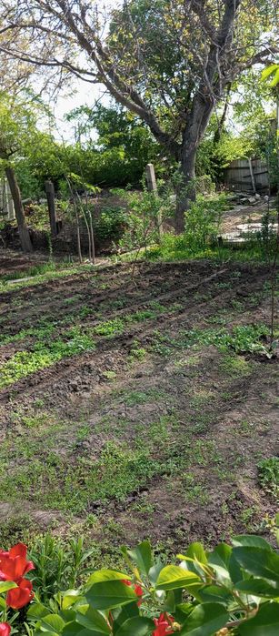 Продам срочно дом