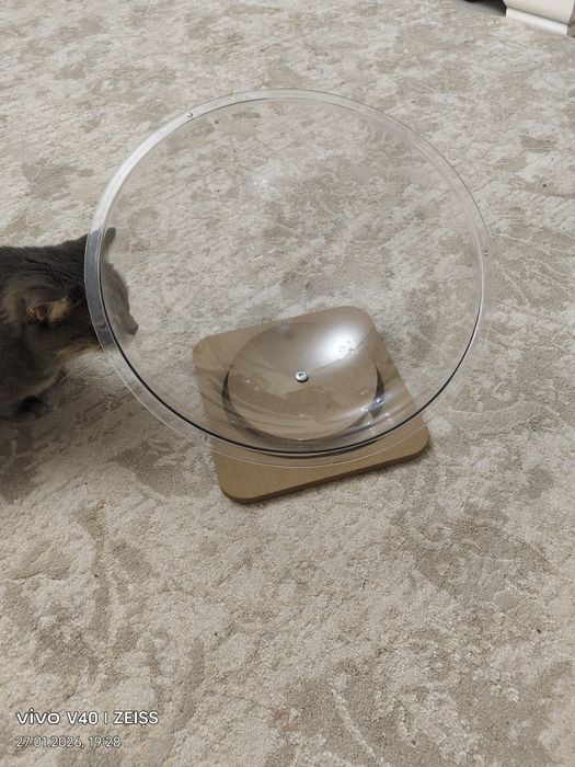 Лежак для кошки.