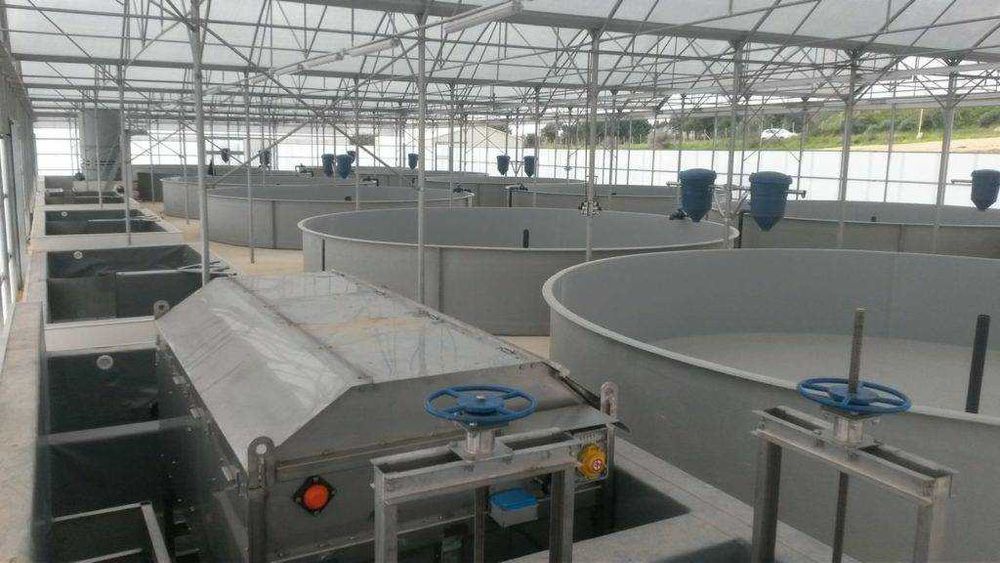 Bazine Piscicole, Rezervoare Piscicole, Ferma Piscicola