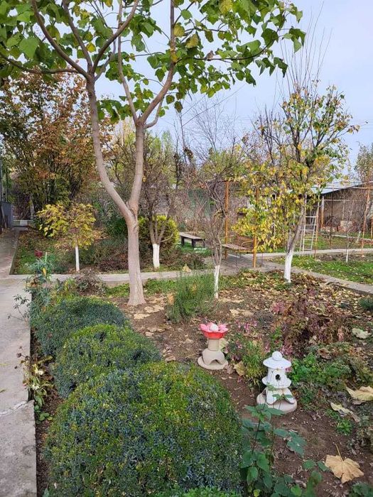 срочно продается благоустроенная дача