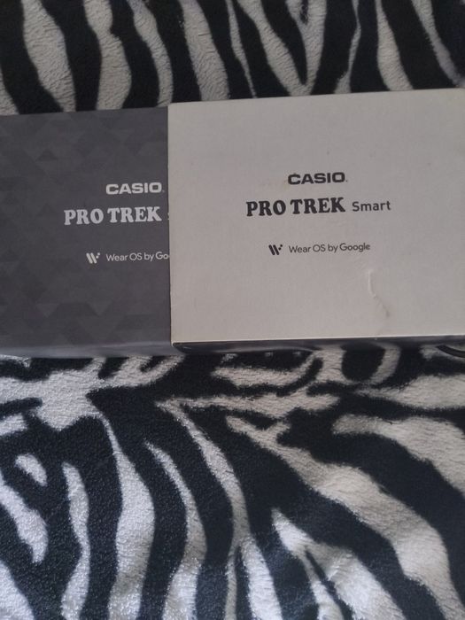 Casio Pro Trek Smart WSD-F 21