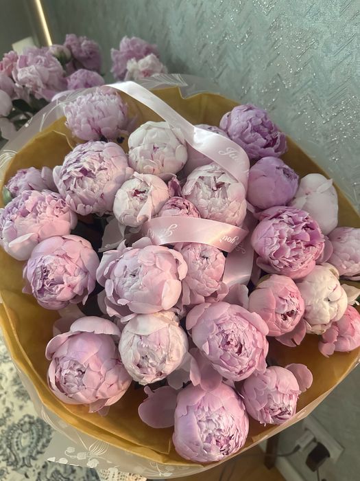 Свежие цветы пионы, розы
