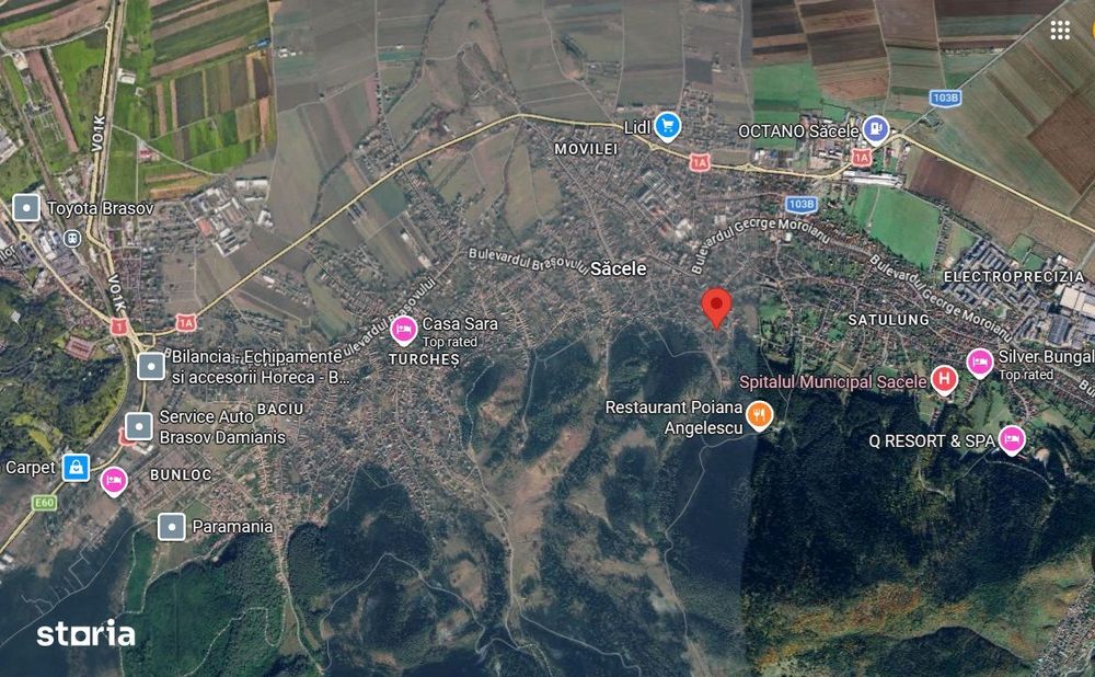 Teren deosebit - 1500 mp, Poiana Angelescu, Str. Livezii