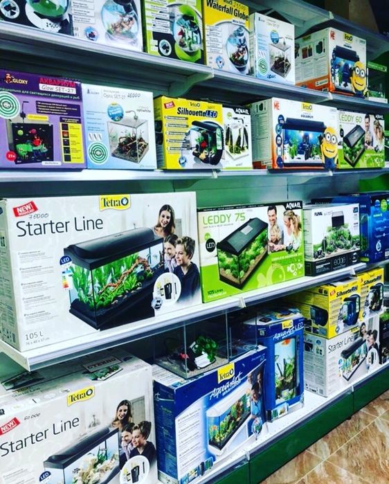 Аквариумистика в "Живом Уголке" в Таугуле