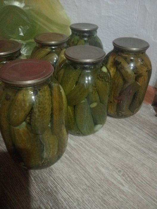 Продам маринованные огурцы