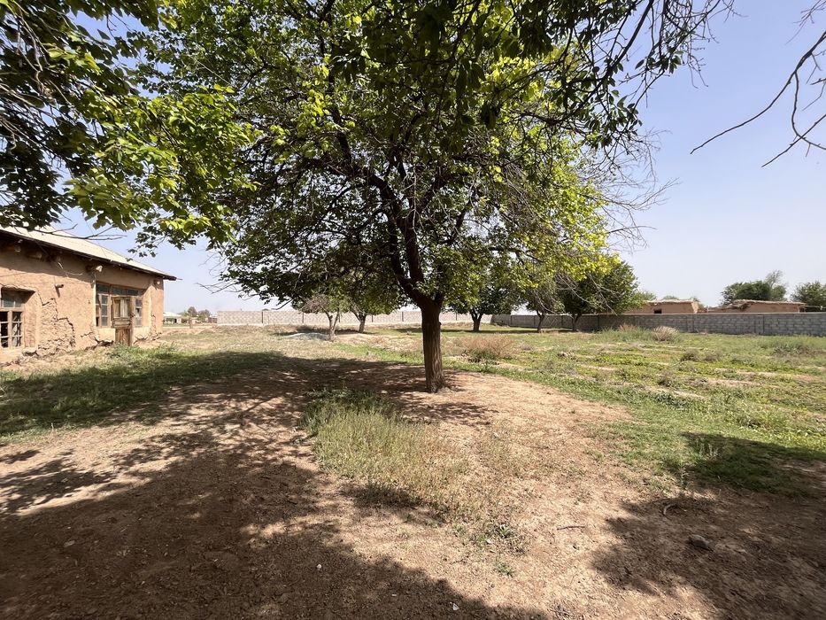 Kasbi tumanida yer sotiladi