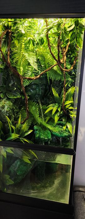 Терариум/палудариум