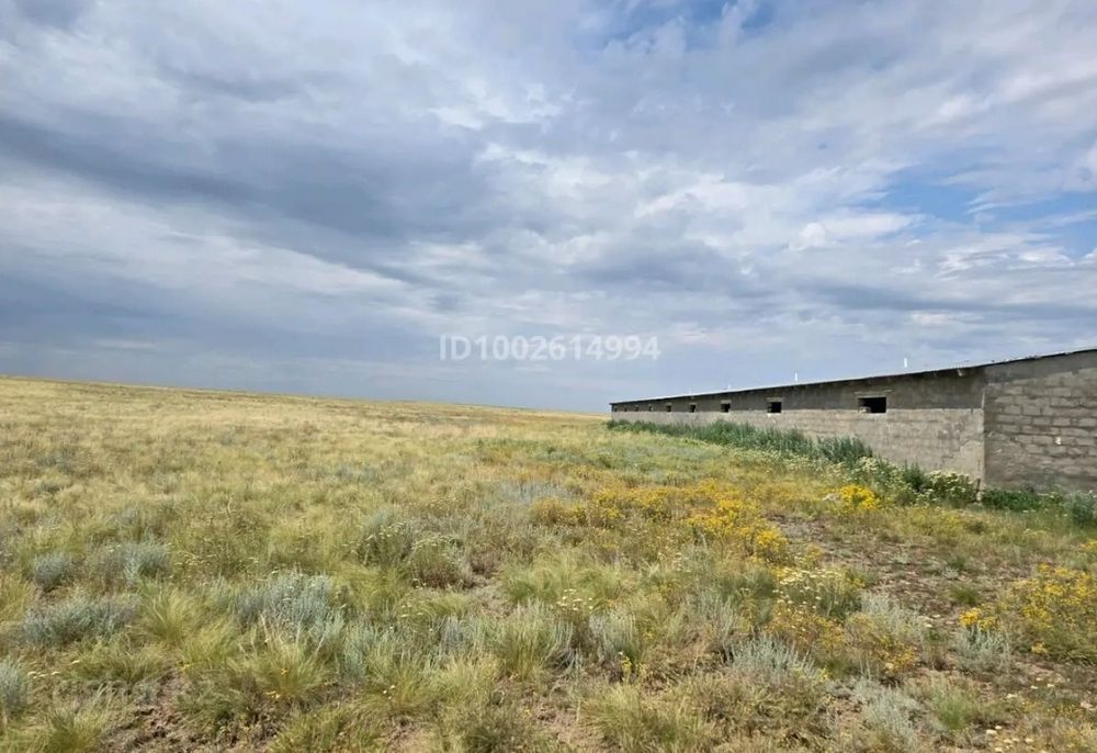 Продам крестьянское хозяйство