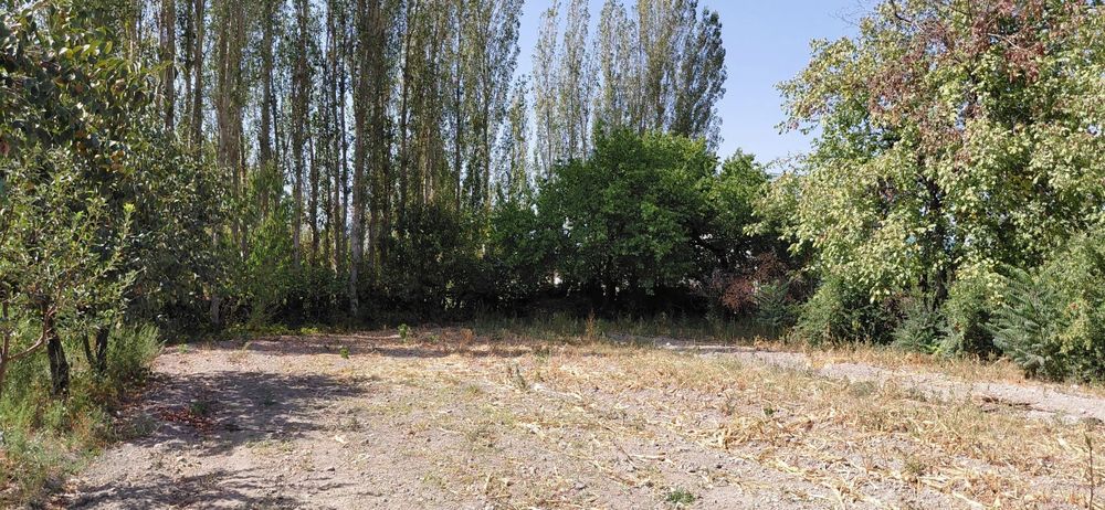 6 sotix Yer sotilad. i          .