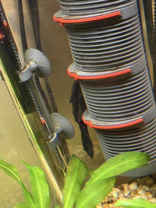 Аквариум EHEIM 126 литра напълно оборудван