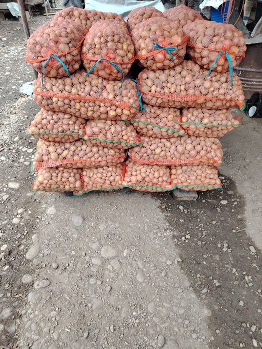 Vand cartofi cartofi