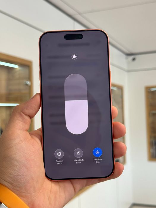 iPhone 17 Pro Max | 256 GB