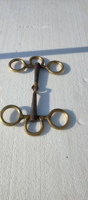 Zabala nemțească/strună cal