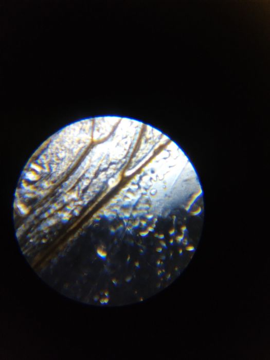 Микроскоп детский