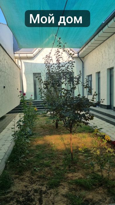 Уй сотилади 3.1 сотик