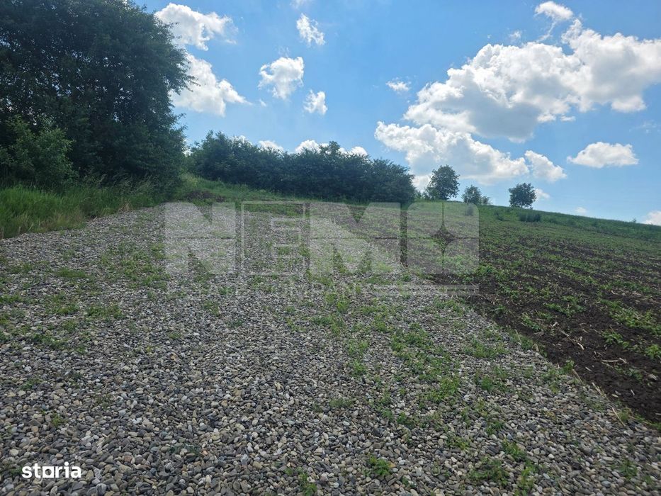 Teren Intravilan | Sfîntu Ilie, Suceava | 38.000 €/Parcelă