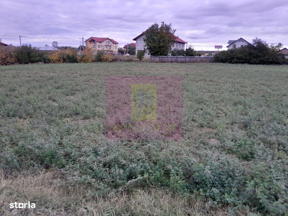 Cosereni (Il) - Se Vinde Teren 2000 Mp La Sos Bucuresti -Urziceni