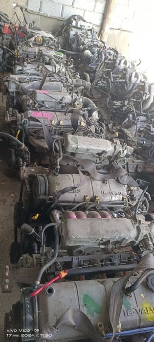 Контрактные маторлар