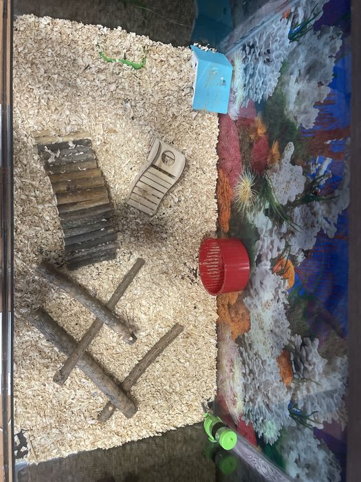 Продам терариум большой