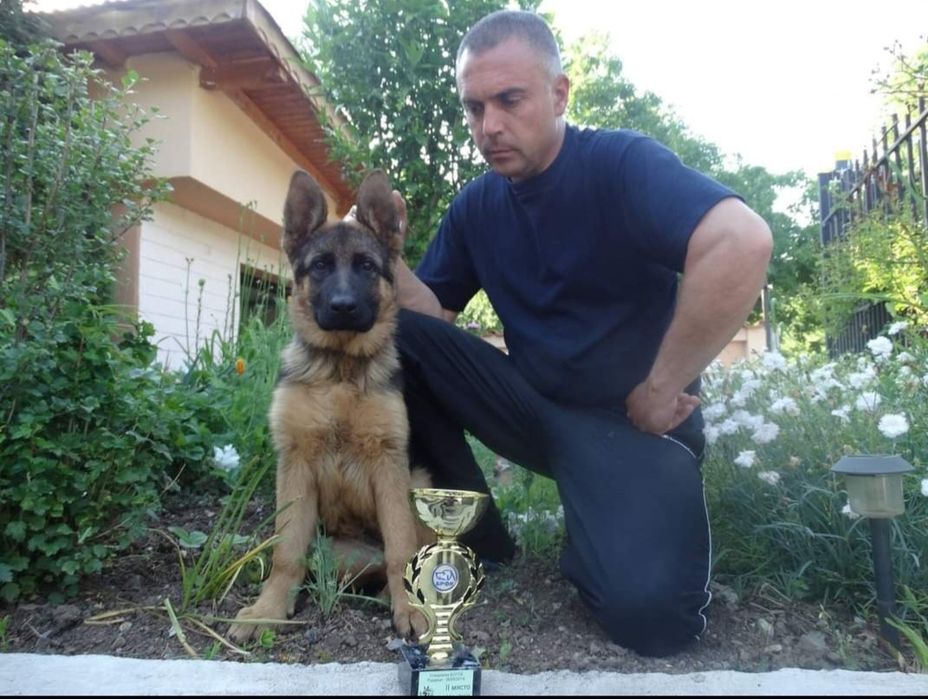 Развъдник за немски овчарки