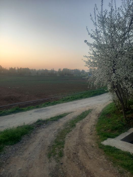 Ховли уй. Трасса буйида