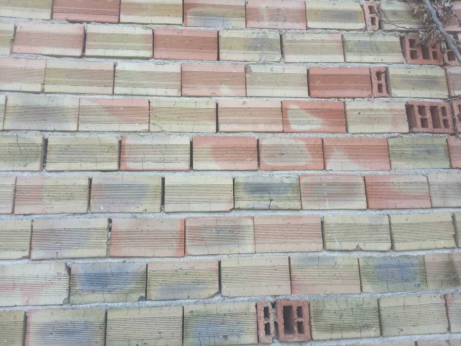 Продава се Къща в с. Дъбовица, Област Бургас - 50 кв.м за 612 €/кв.м - Снимка #7