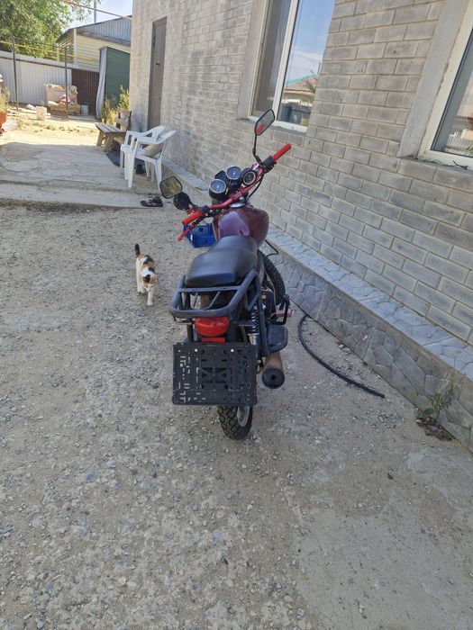 Мопед альфа самурай