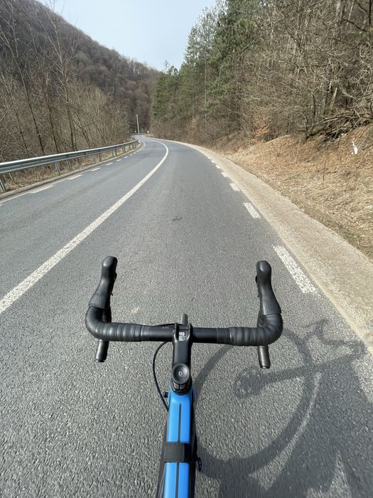 Bicicleta Canyon Endurace AL