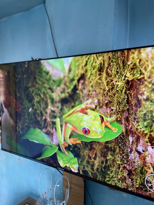 Televizor 65 duym Samsung KAMI BOR
