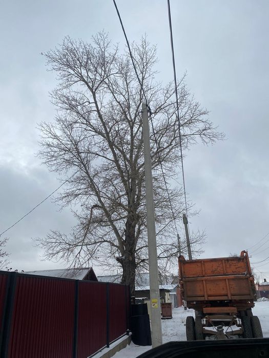 Спил деревьев, санитарная подрезка