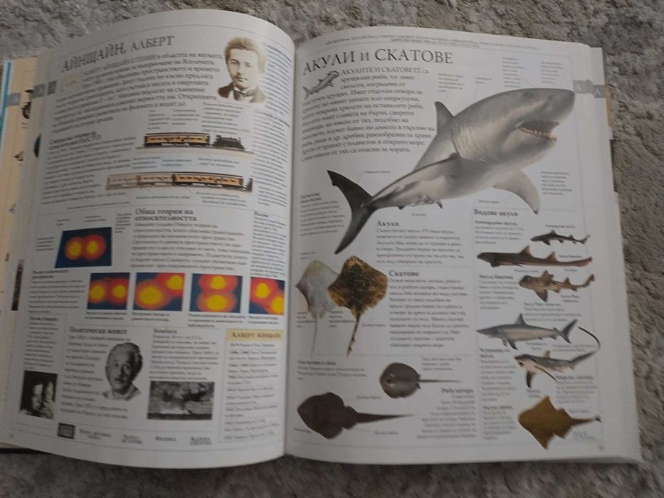 Голяма семейна енциклопедия