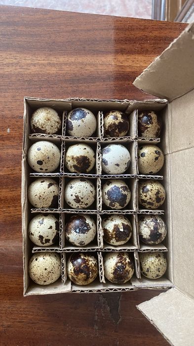 Яйца перепелинные