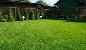 Готовый рулонный газон