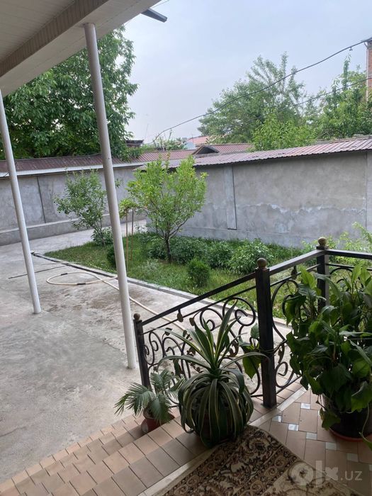 Olmazorda 5,4 sotixli shinam hovli sotiladi