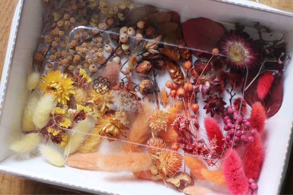 Наборы сухоцветов