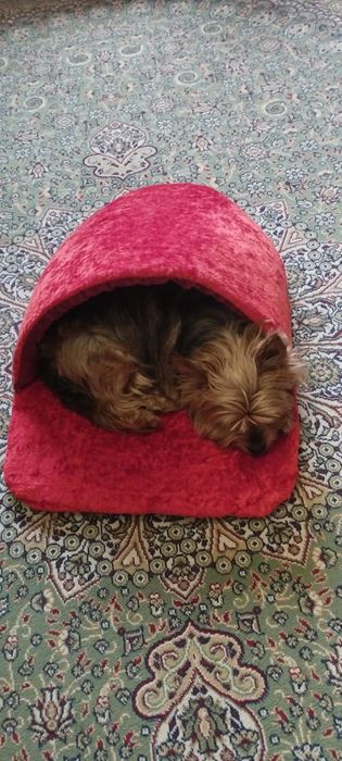 Лежанки эксклюзивные