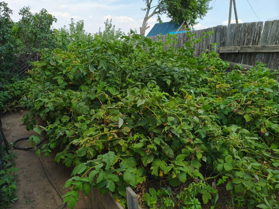Продам дачу возле красных бочек