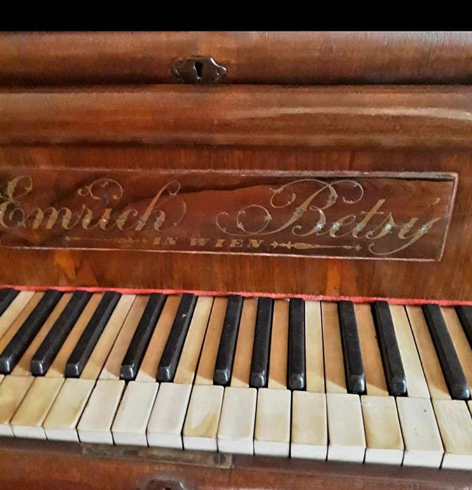 Pian vienez Emrich Betsy cu coada lunga