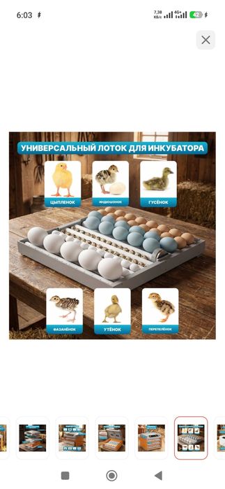 Продам инкубатор