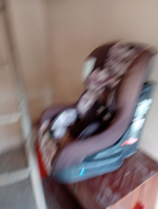 Vând scaun copii sau schimb cu animale