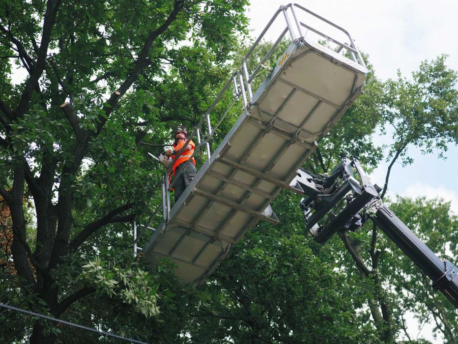 Горски мулчер, мулчиране и изравняване на терени, дробилка за клони