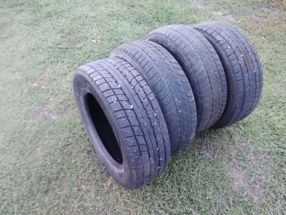 Зимний шины трейнжл TRANGLE