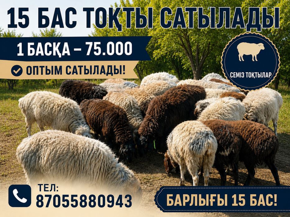 Семіз тоқтылар сатылады