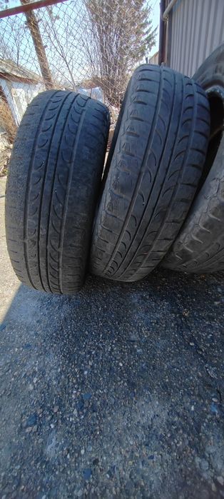 Продам шины Тунга зодиак.