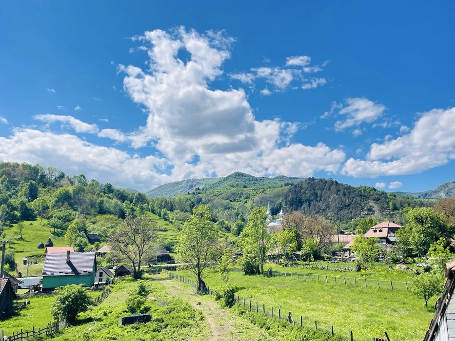 Vand casa veche Ocolis, jud. Alba. 2835 mp teren