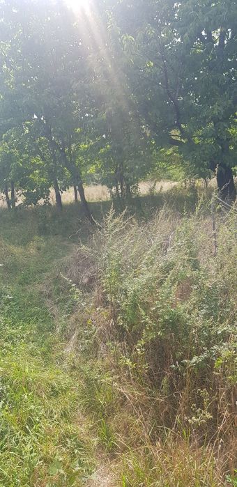 Продава се Парцел в Сапарева баня - 4000 кв.м за 51 €/кв.м - Снимка #6