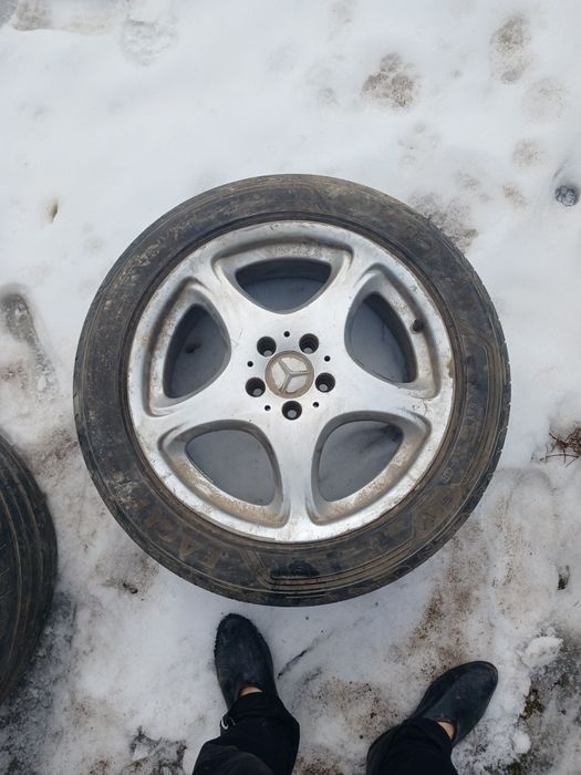 Мерседес кабаннын титанкілері сатылады