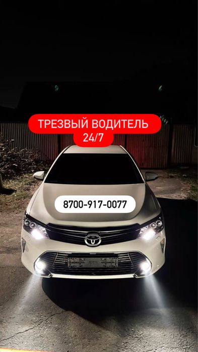 Трезвый водитель