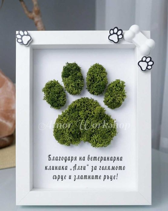 НАЛИЧНА Подарък за учител, доктор, унг, ветеринар, дипломиране 13х18см